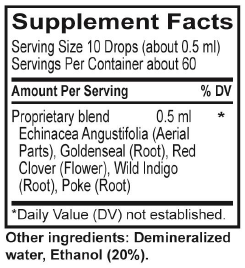 Echinaplus - Image 2