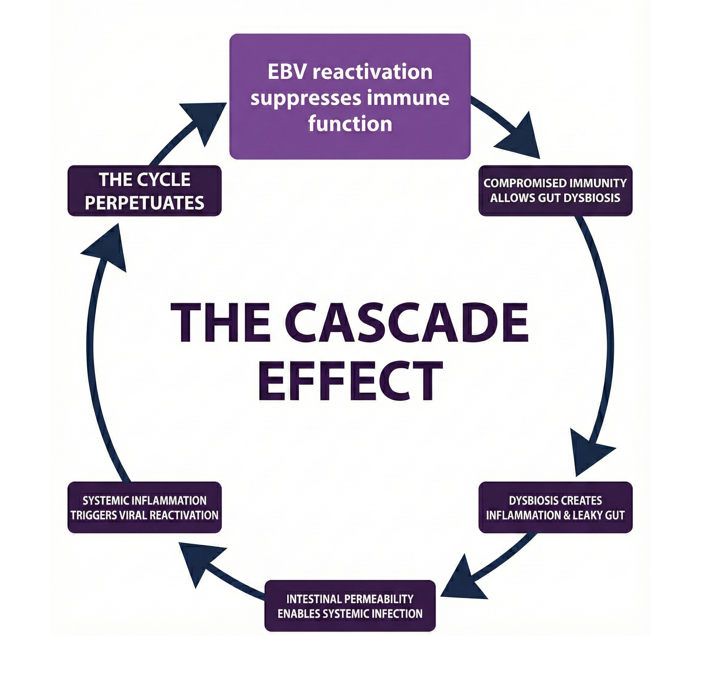 The Chronic Infection Cascade Effect